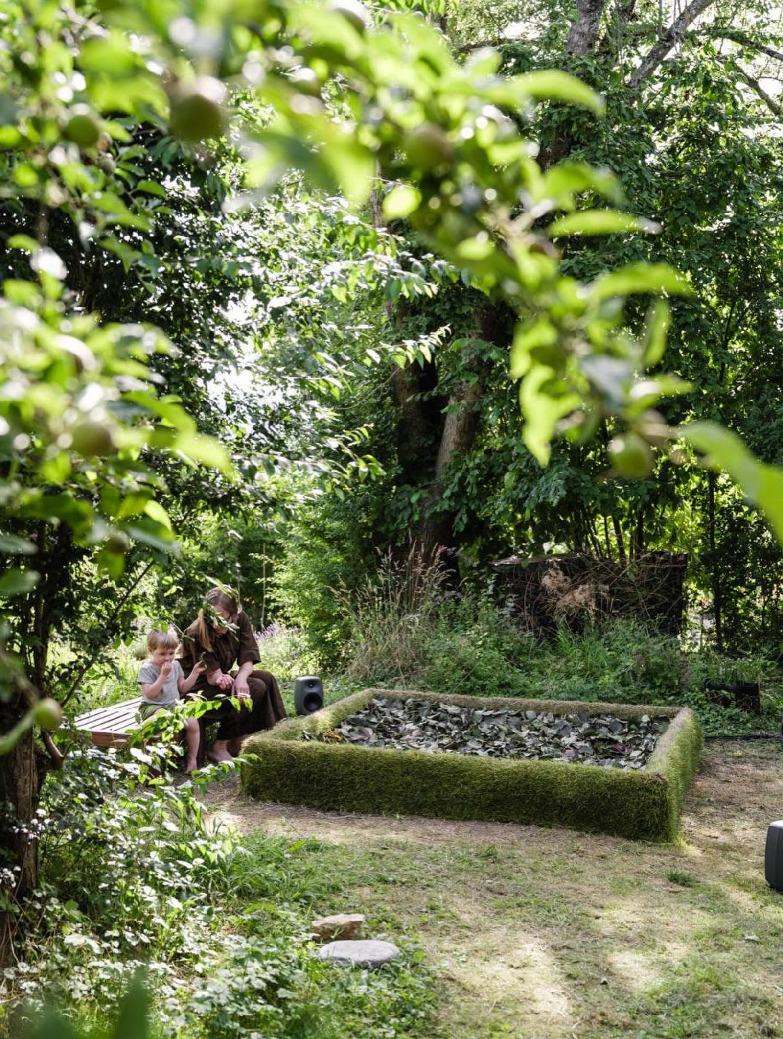 The installation seen through the trees
